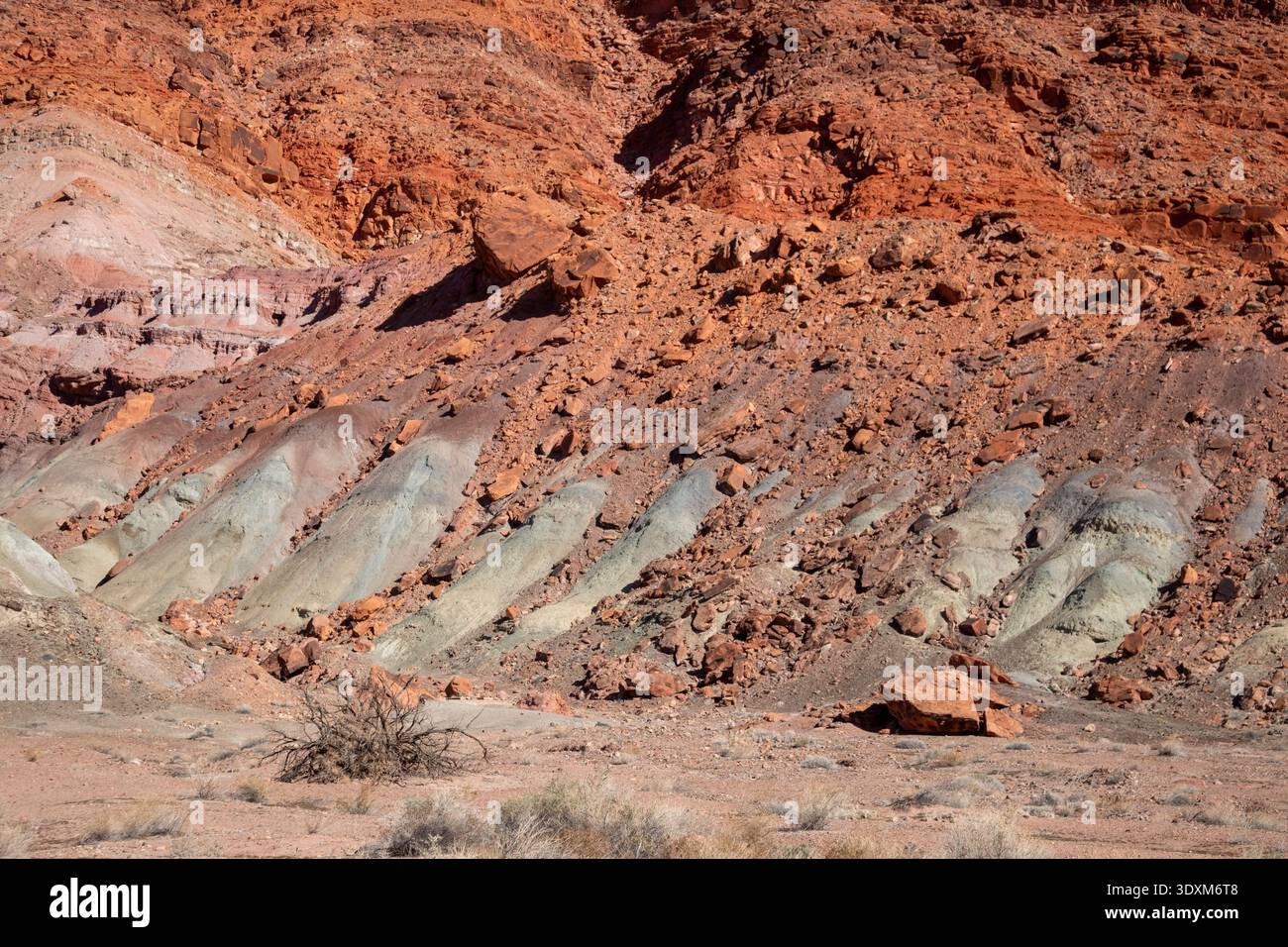 Lee's Ferry, Arizona – Felsformationen bei Lee's Ferry am Colorado River am nördlichen Ende des Grand Canyon. Stockfoto