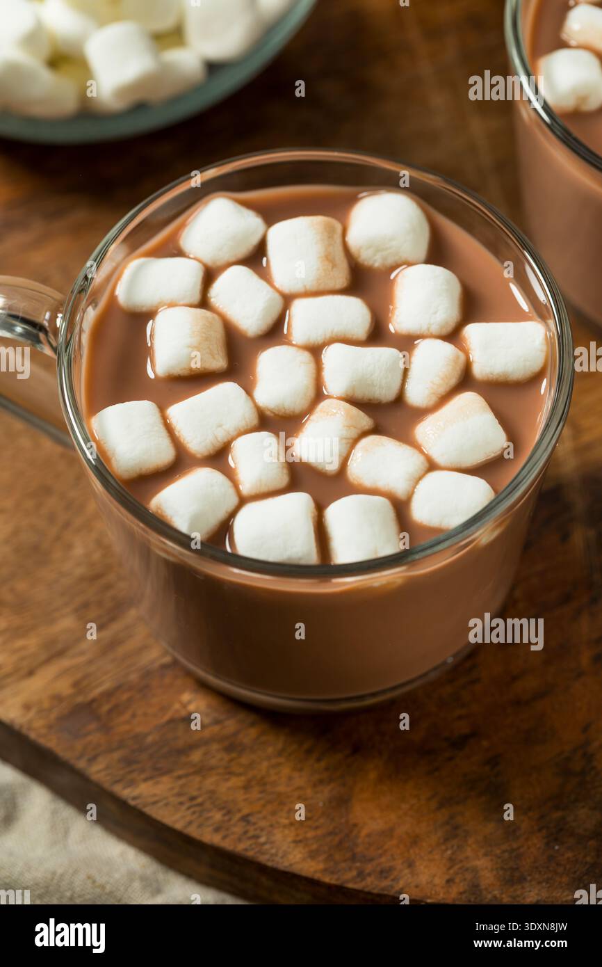 Süße Bio-Kakao-Schokolade mit Marshmallows in einer Tasse Stockfoto