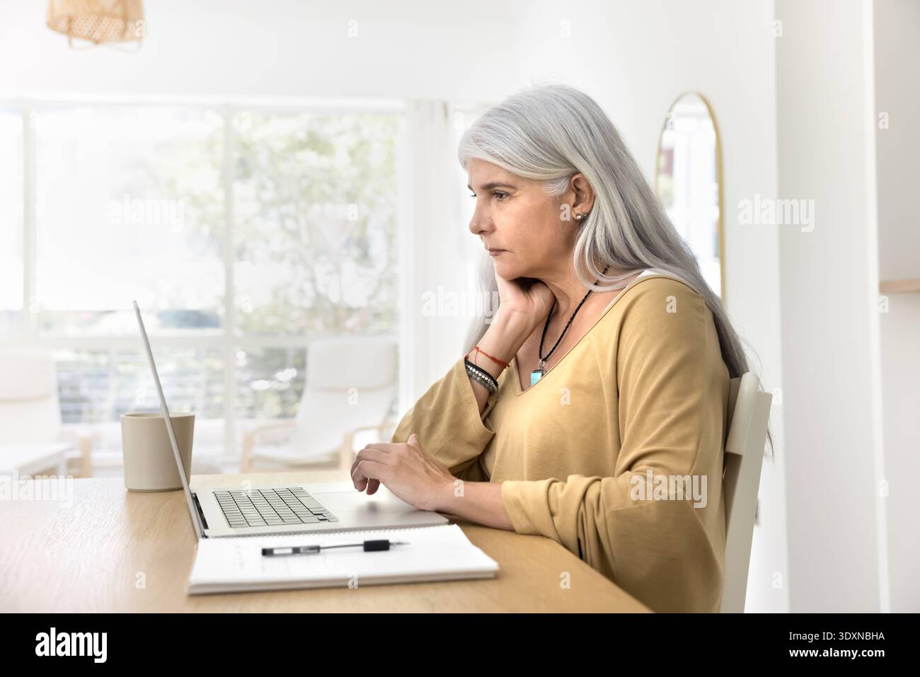 Ernsthafte reife Frau lernt neue Software oder Programme mit Laptop Stockfoto