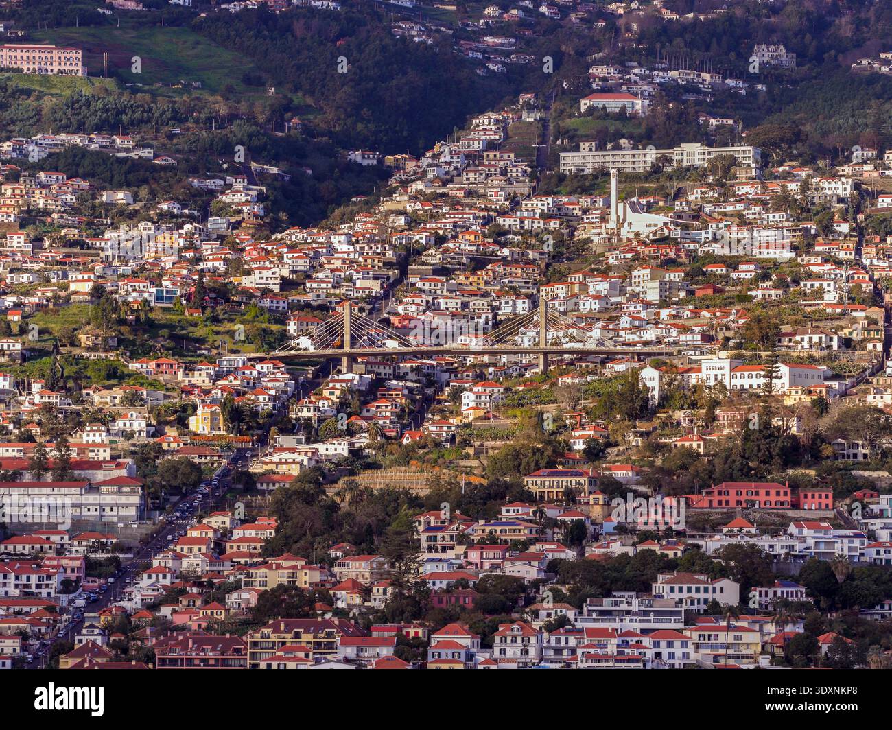 Luftbild über das Kapitol von Madeira. Das ist Funchal City. Stockfoto
