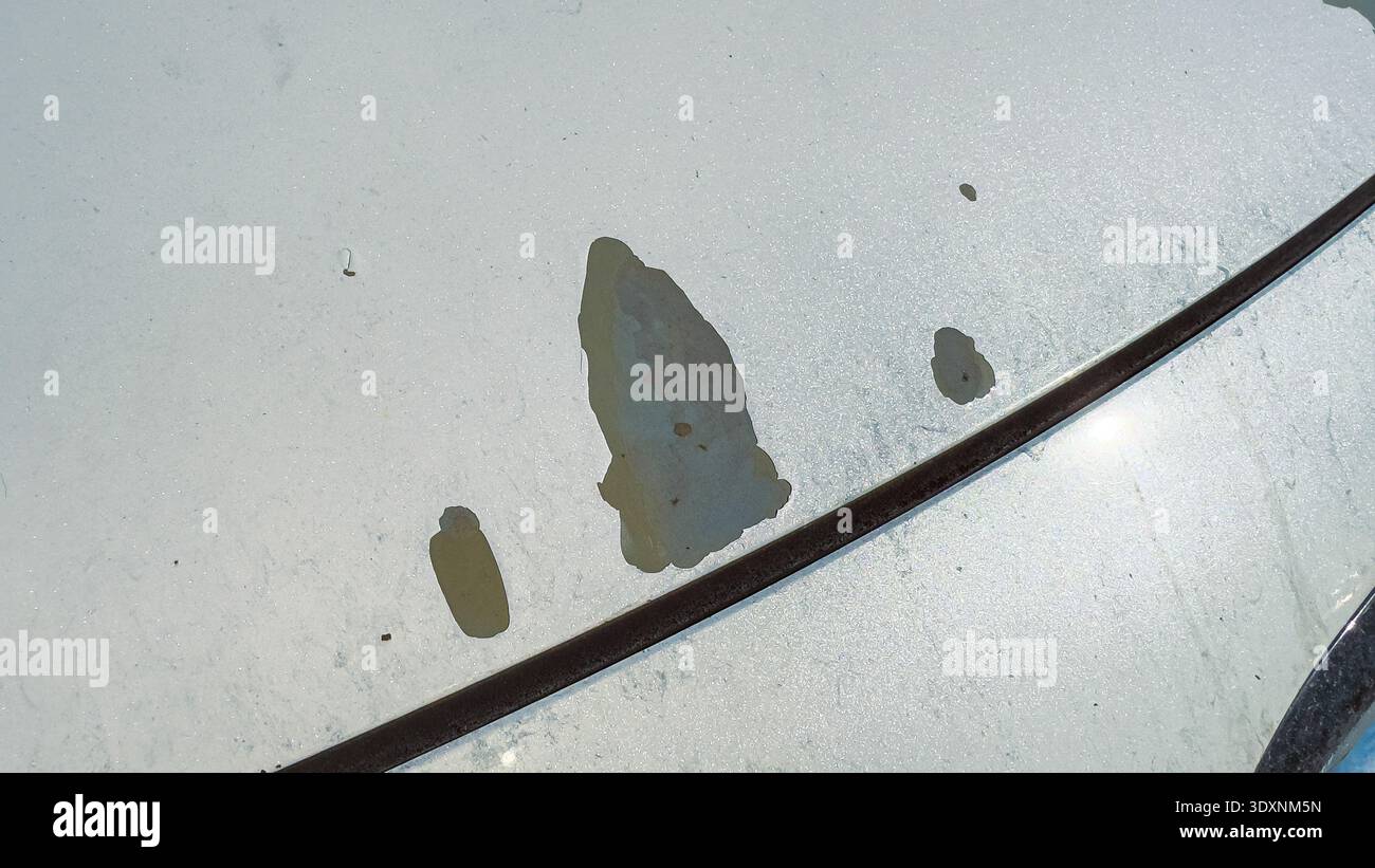 Wassertropfen verbleiben nach Regen auf der Oberfläche einer Autohaube. Die Flecken variieren in Größe und Form, was darauf hinweist, wo sich das Wasser angesammelt und getrocknet hat. Die Szene ca. Stockfoto