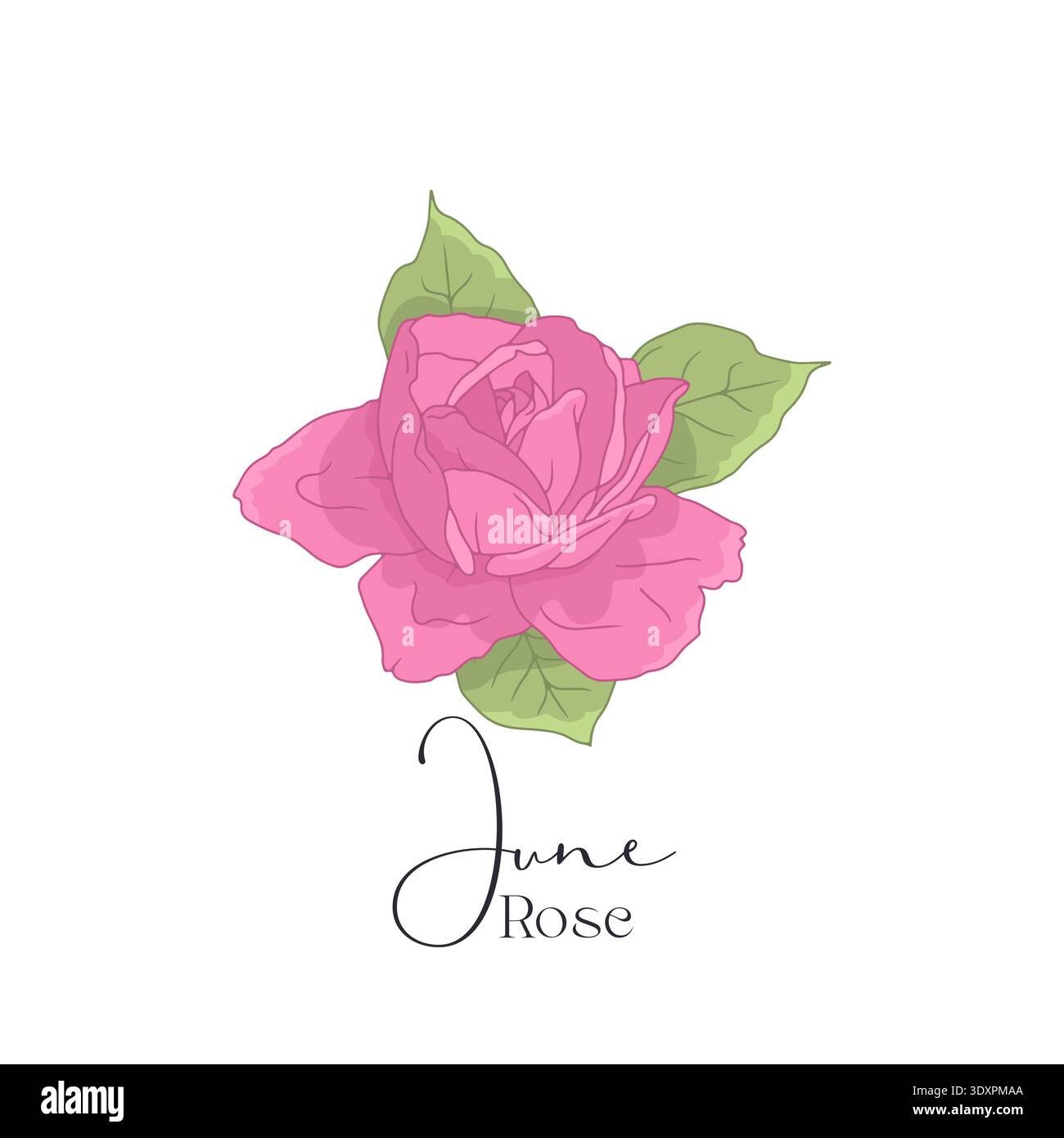 Handgezeichnete Linienart Retro-Palettenblume mit Text june Rose Stock Vektor