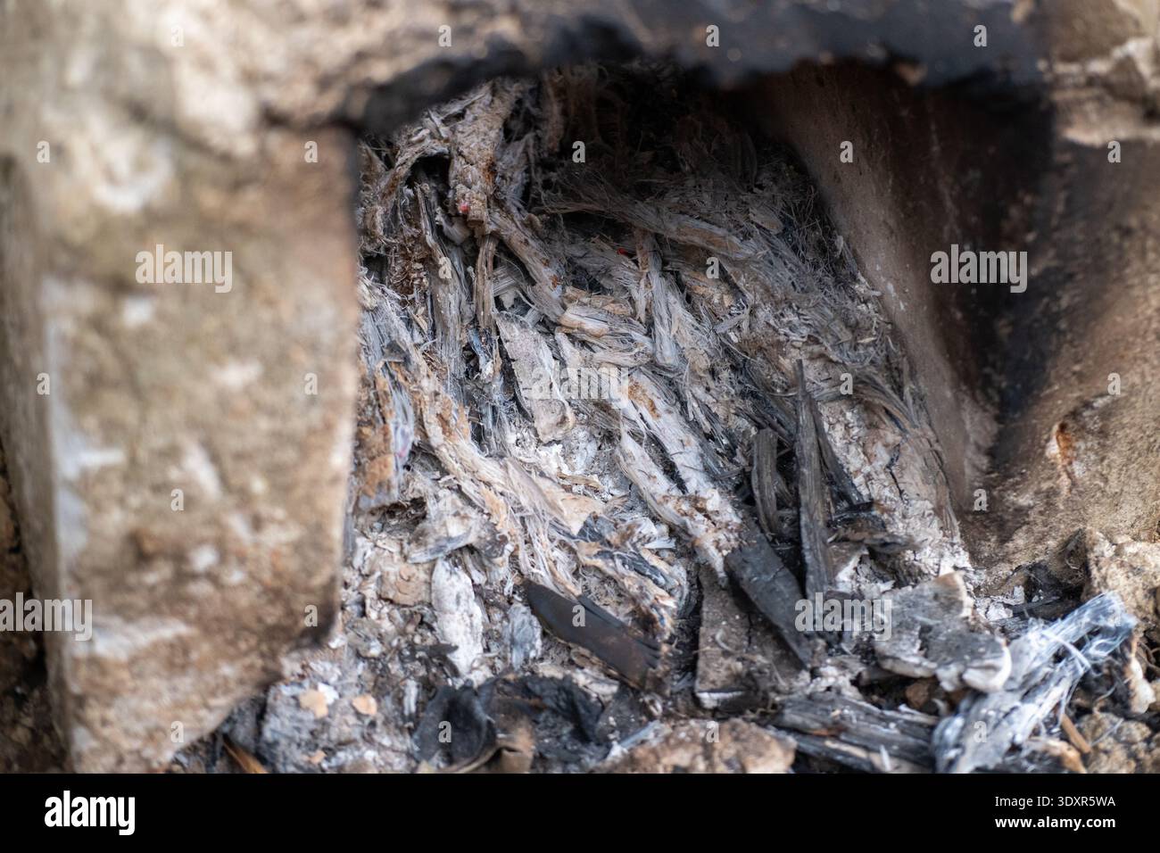 In einer Betonfeuerstelle mit weißer Asche und verbranntem Holz Stockfoto