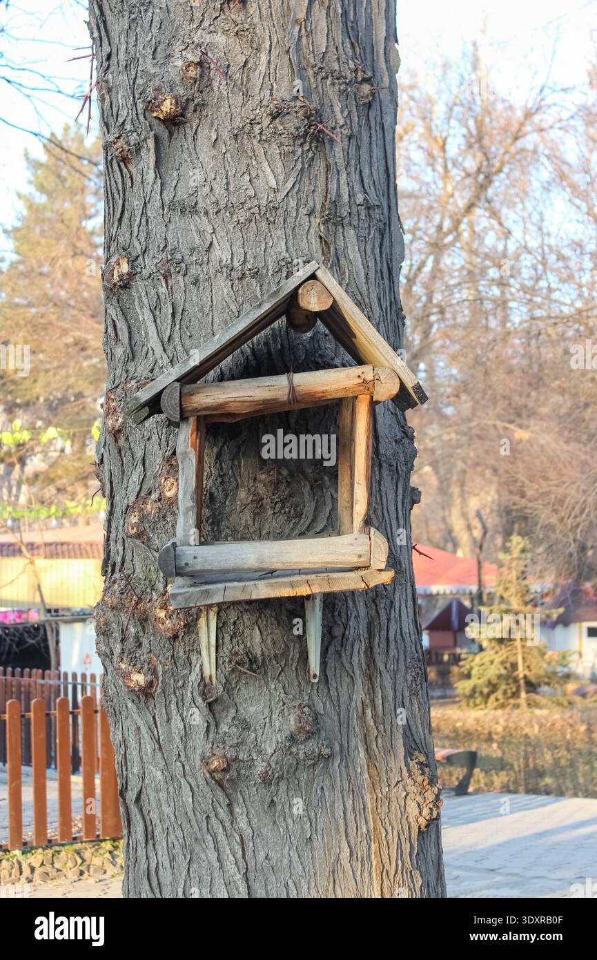 Eine rustikale, handgefertigte Vogelfutteranlage aus Holz befindet sich auf der strukturierten Rinde eines großen Baumes in einem sonnendurchfluteten Park oder Wald. Stockfoto