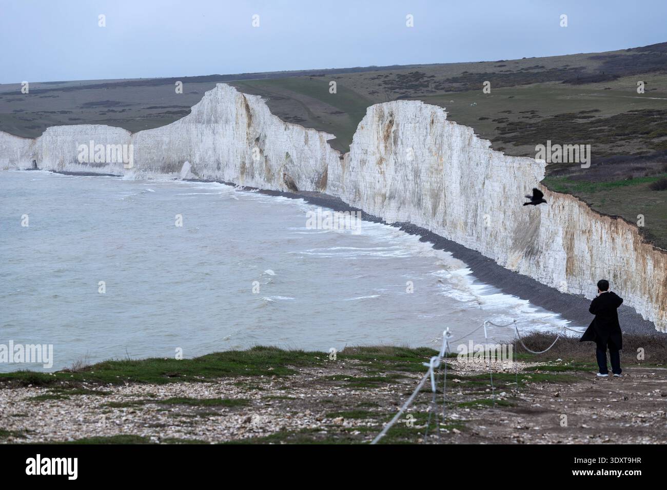Seven Sisters, in der Nähe von Birling Gap, eine Reihe von Kreidefelsen an der Küste des Ärmelkanals, East Sussex, England, Großbritannien Stockfoto