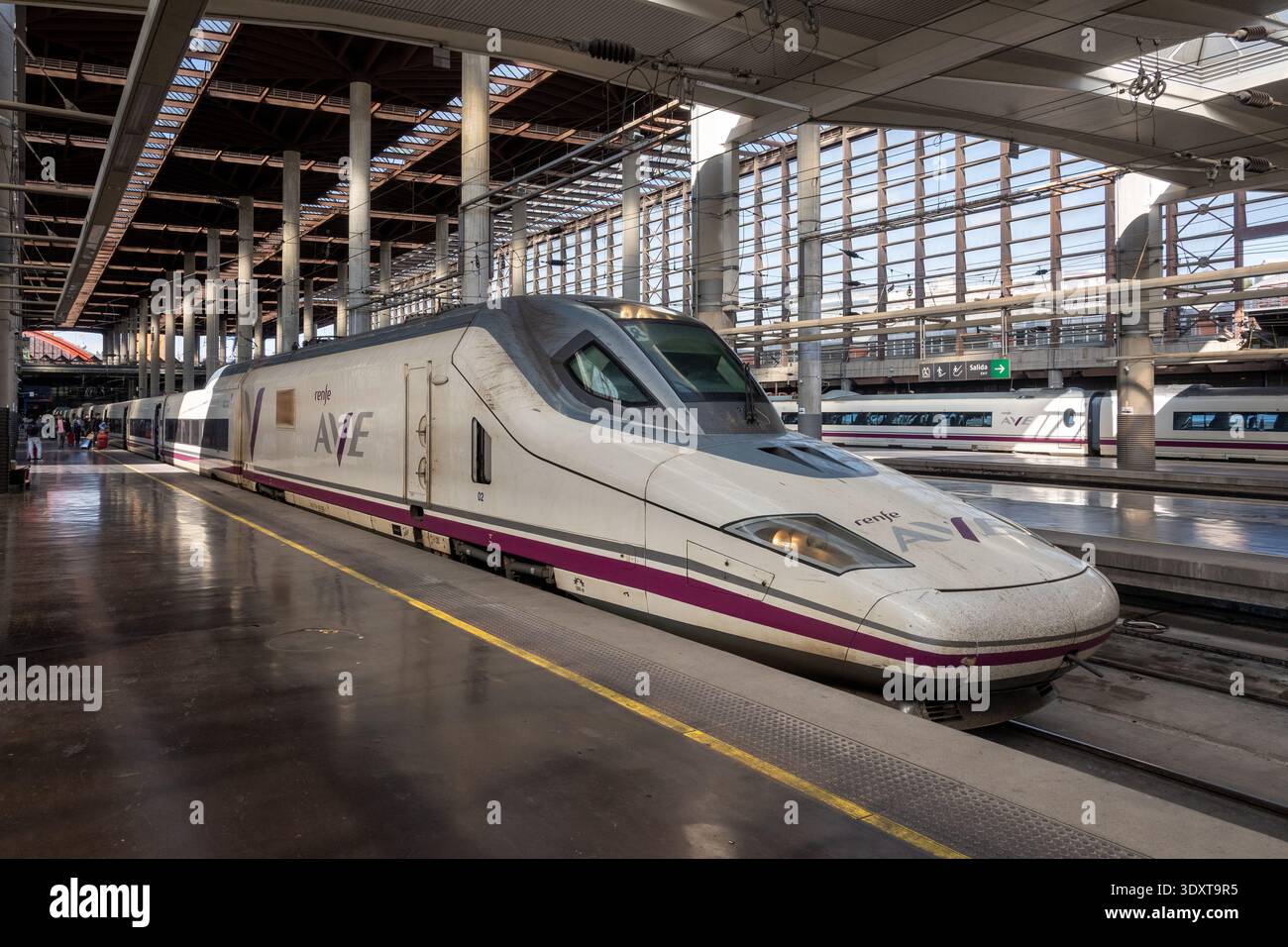 Hochgeschwindigkeitszüge am Bahnhof Madrid Atocha in Spanien Stockfoto