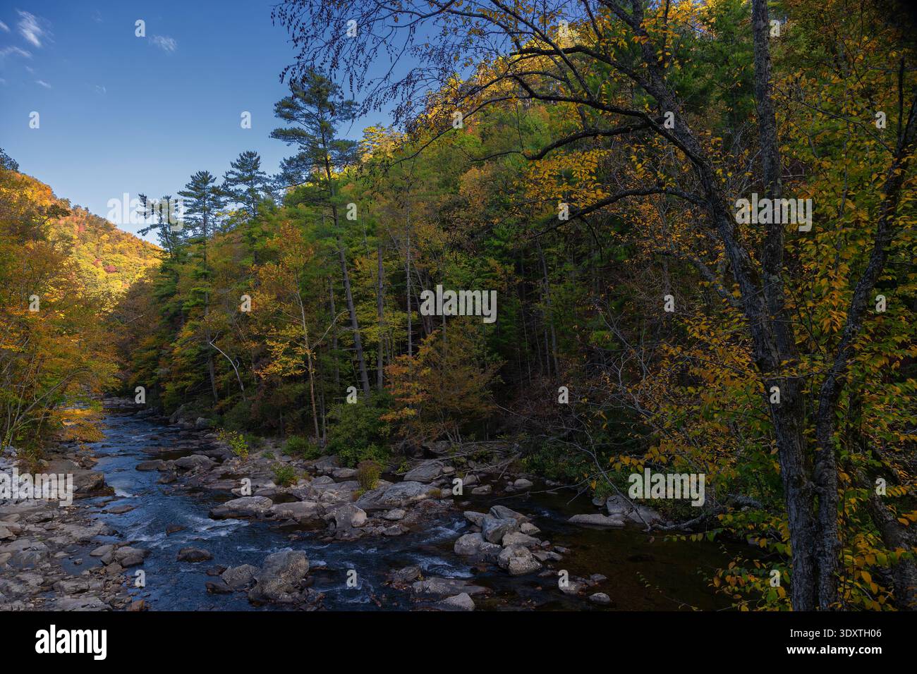 Wunderschöne Morgenlandschaft des bald River im Cherokee National Forest in den Great Smoky Mountains von Tennessee. Stockfoto