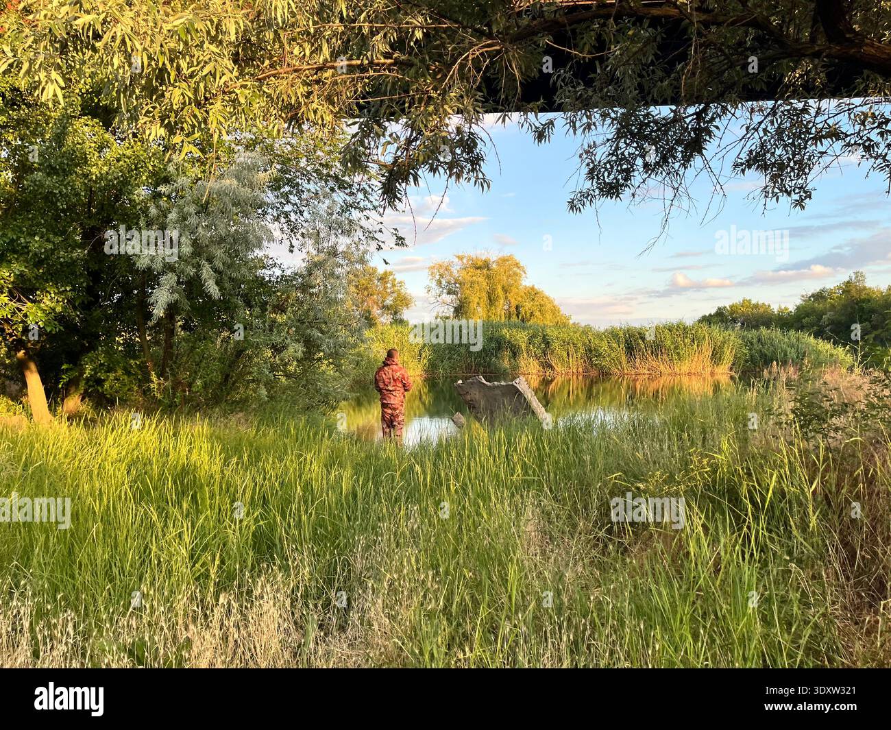 Ein Mann, der allein an einem ruhigen See inmitten grüner Vegetation während der goldenen Stunde fischt. Friedliche Landschaft mit Tageslicht. - Smartphone-aufgenommenes Stockfoto