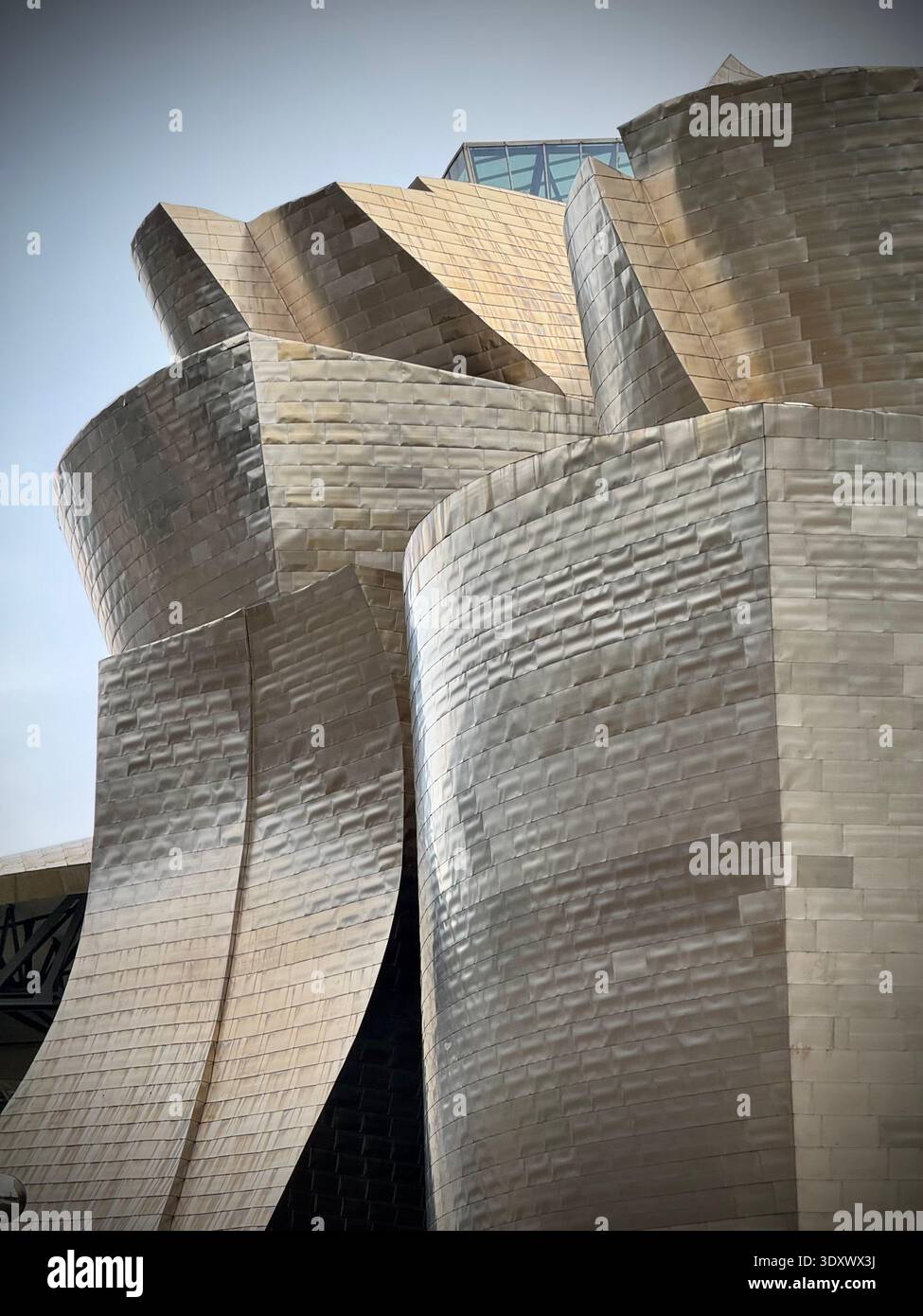 Guggenheim Museum Bilbao von Frank Gehry, Titan-Fassadendetail in Bilbao, Baskenland, Spanien, ikonische moderne Architektur. Stockfoto