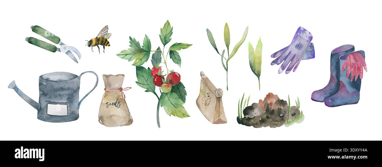 Blumengarten Pflanzen mit Tomatenpflanzen und Gartenwerkzeugen Aquarell Clipart Stockfoto