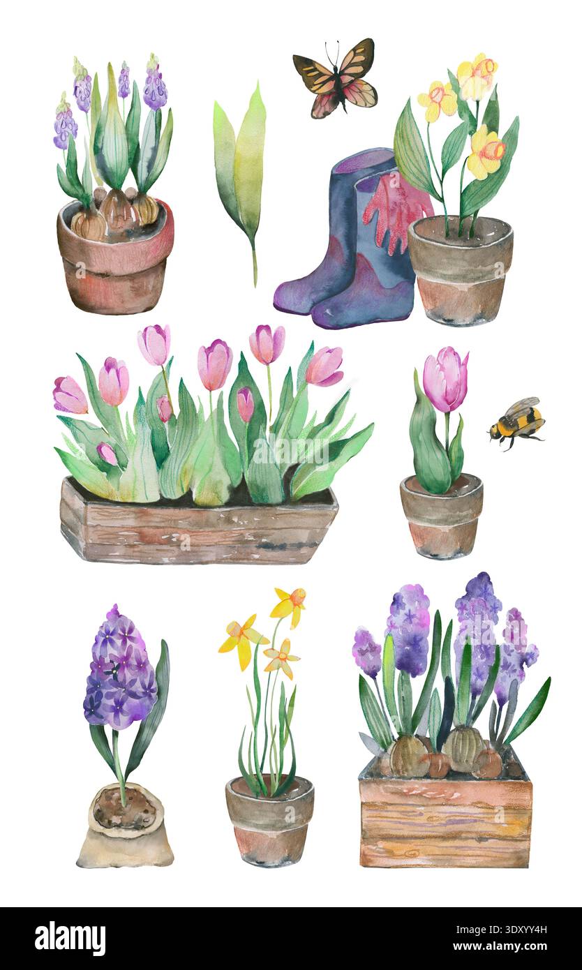 Spring Flower Garden Set Tulpen Stiefel Hyazinthen Narzissen Pflanzer Stockfoto