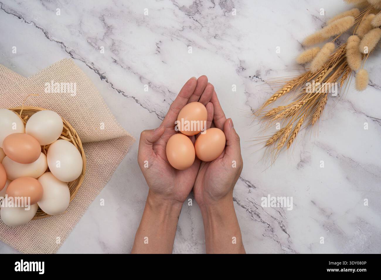 SSTK Ostern. Frische Eier in den Händen für festliches Kochen. Stockfoto