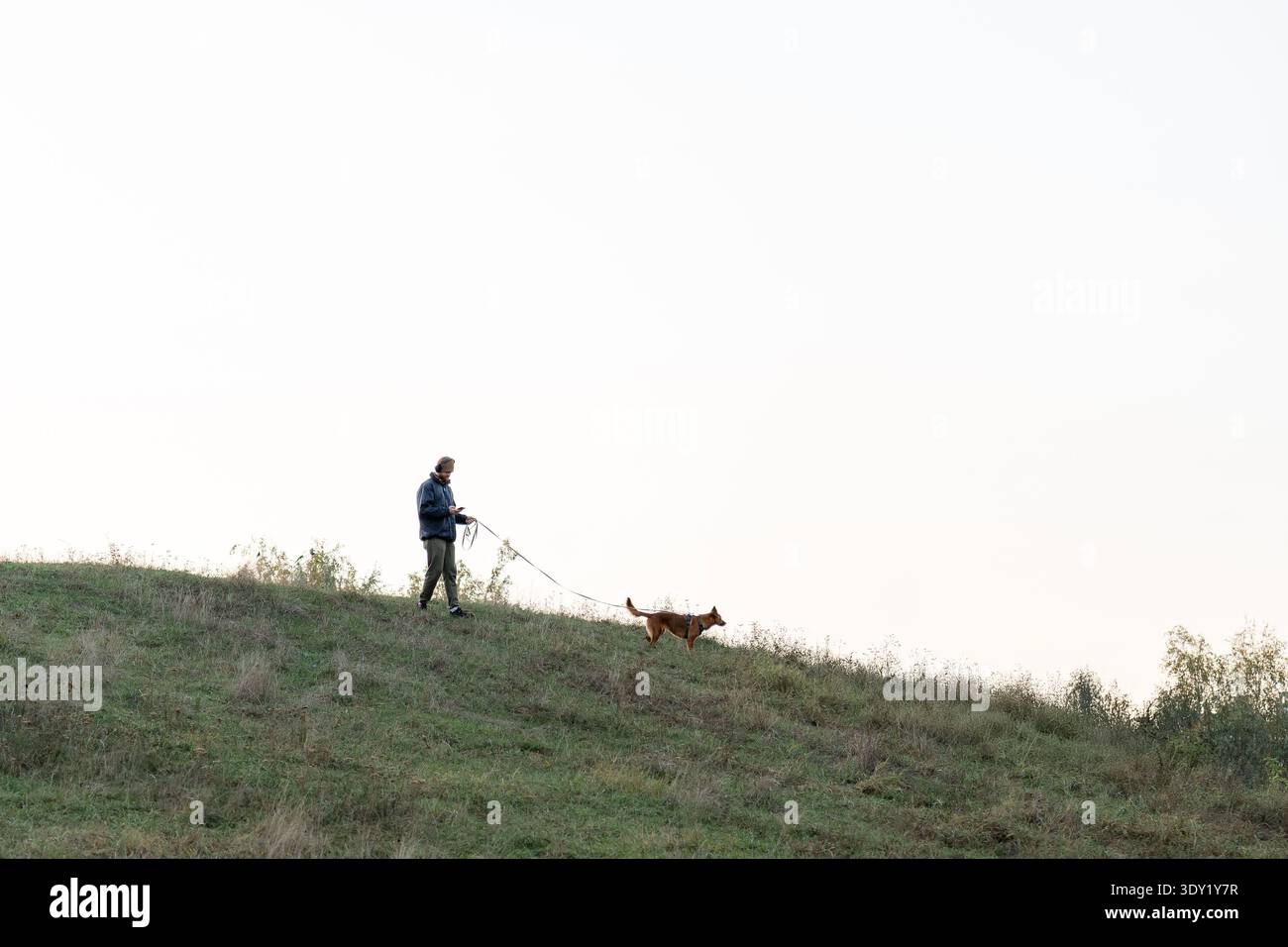 Einsamer Mann, der bei Sonnenaufgang einen Hund an der Leine entlang eines nebeligen Hügels führt. Minimalistischer Weitwinkel mit weichem Himmel und grünem Hang. Ideal für Outdoor, Gesundheit Stockfoto