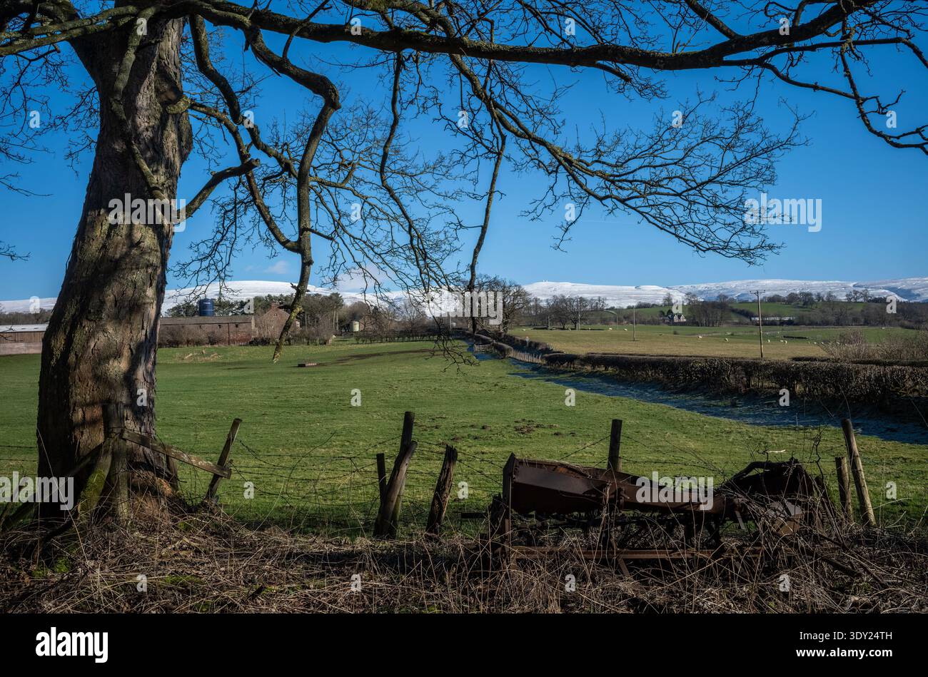 Schneebedeckte Pennine Hills am Eden Valley, Newbigginn Cumbria, Großbritannien Stockfoto