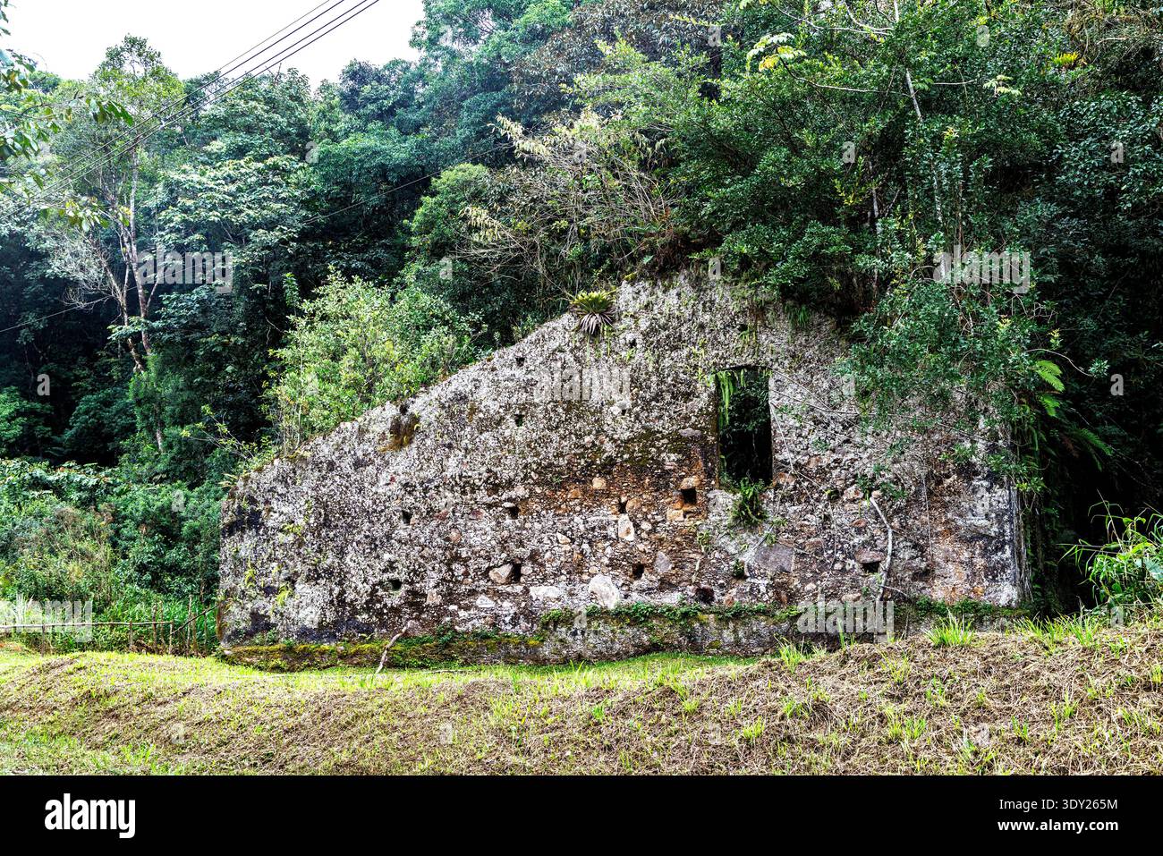 Überreste eines Steinhauses aus der Kolonialzeit an der Schotterstraße zwischen Ariri und Cananéia, San Paulo, Brasilien Stockfoto