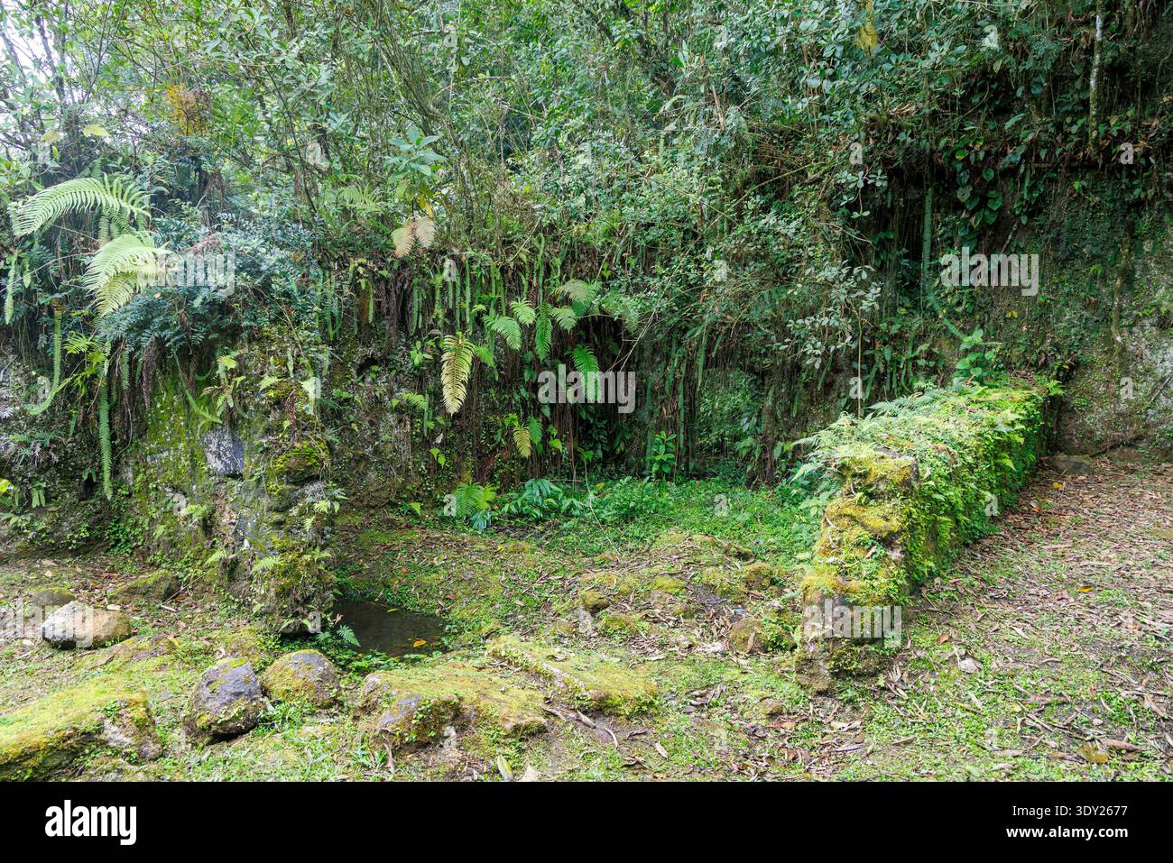 Überreste eines Steinhauses aus der Kolonialzeit an der Schotterstraße zwischen Ariri und Cananéia, San Paulo, Brasilien Stockfoto