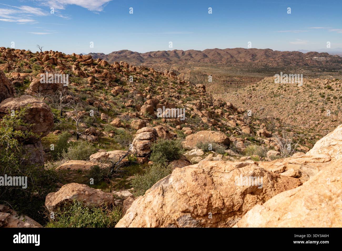 Arizona, USA – raues Wüstengebiet östlich von Superior, mit Blick nach Südwesten mit Resolution Copper Mine im rechten Hintergrund Stockfoto