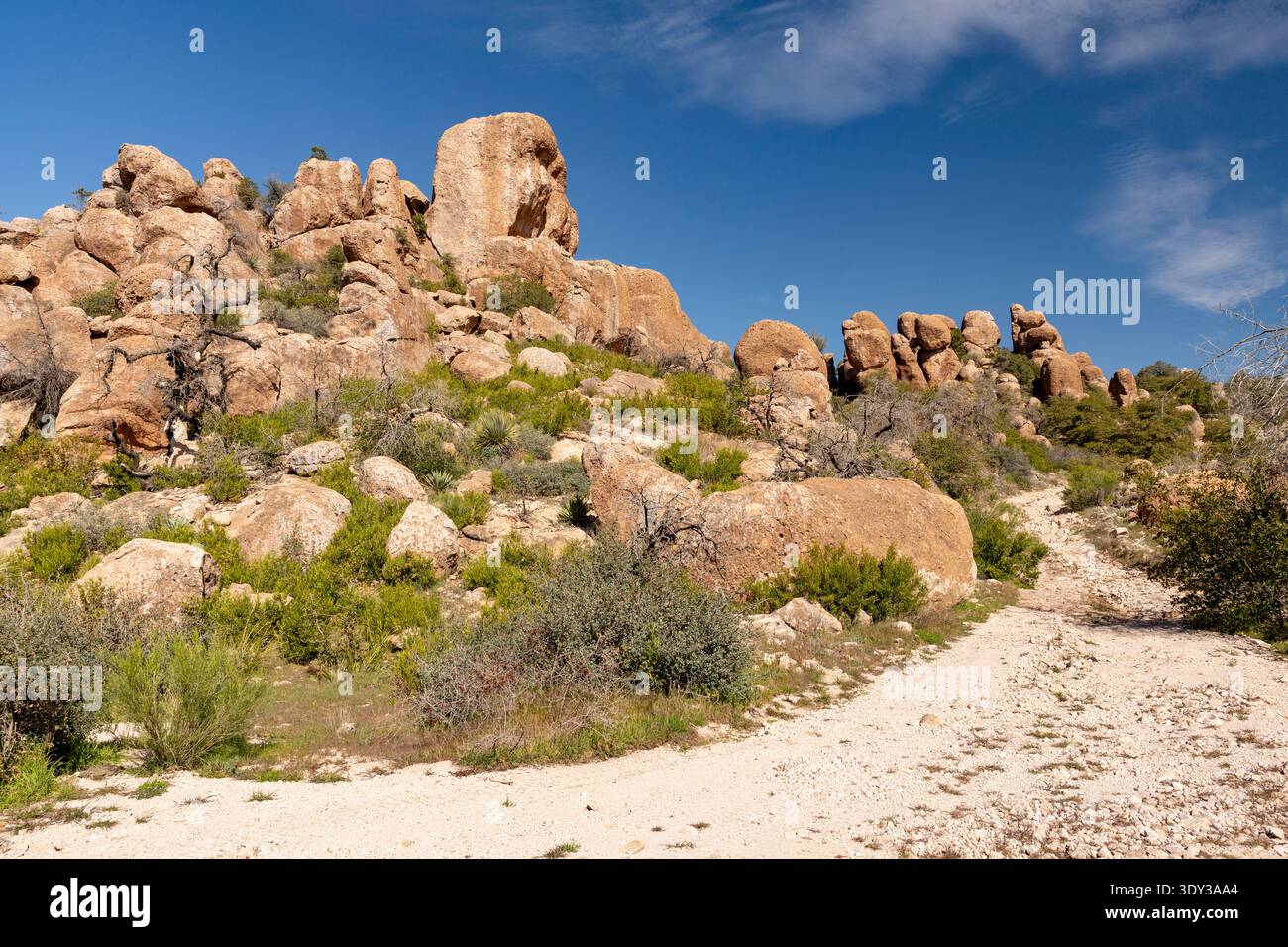 Arizona, USA – Trail durch raues Wüstengelände und Felsformationen östlich von Superior Stockfoto