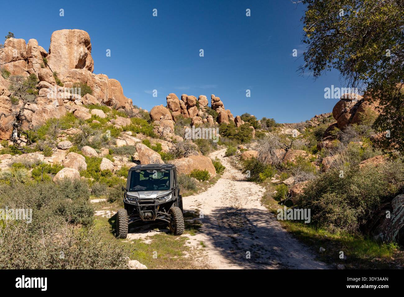 Arizona, USA - UTV neben dem Trail, der durch raues Wüstengelände und Felsformationen östlich von Superior führt Stockfoto