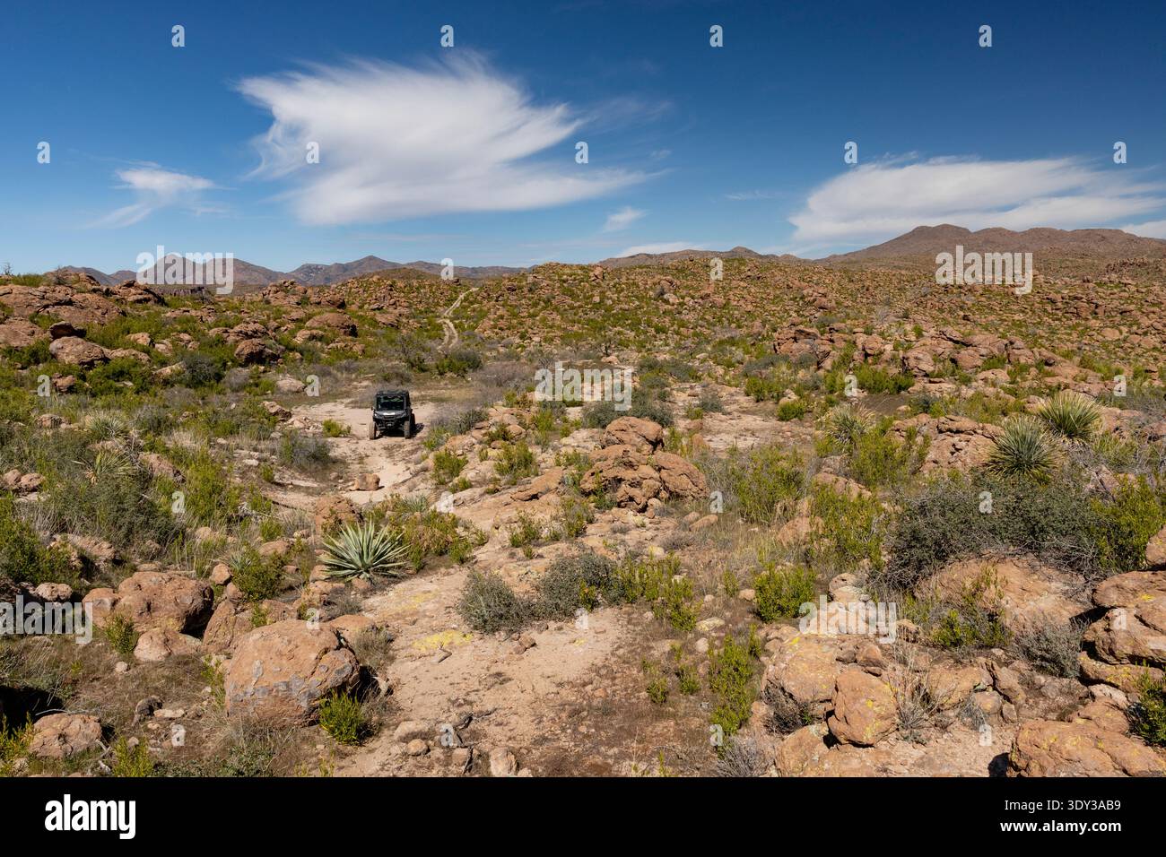 Arizona, USA – UTV-Seite in rauer Wüstenlandschaft östlich von Superior Stockfoto