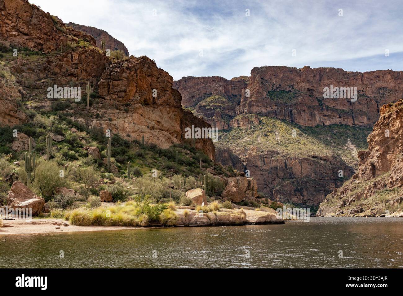Arizona, USA: Saguaro-Kakteen, andere Vegetation und zerklüftetes Gelände entlang des Salt River in der Nähe von Tortilla Flat Stockfoto