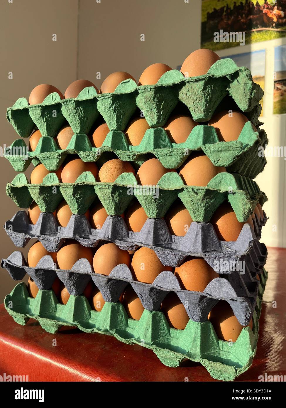 Stapel frischer Hühnereier aus Freilandhaltung in Pappschalen. Von Hühnern mit Zugang im Freien erzeugte Eier, die üblicherweise in Tabletts verkauft und als a n verwendet werden Stockfoto