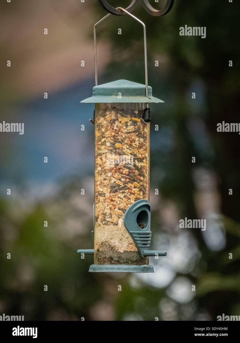 Nahaufnahme eines hängenden Vogelfutters im Hinterhof, gefüllt mit gemischten Samen, die Vögel in einem natürlichen Garten einladen Stockfoto