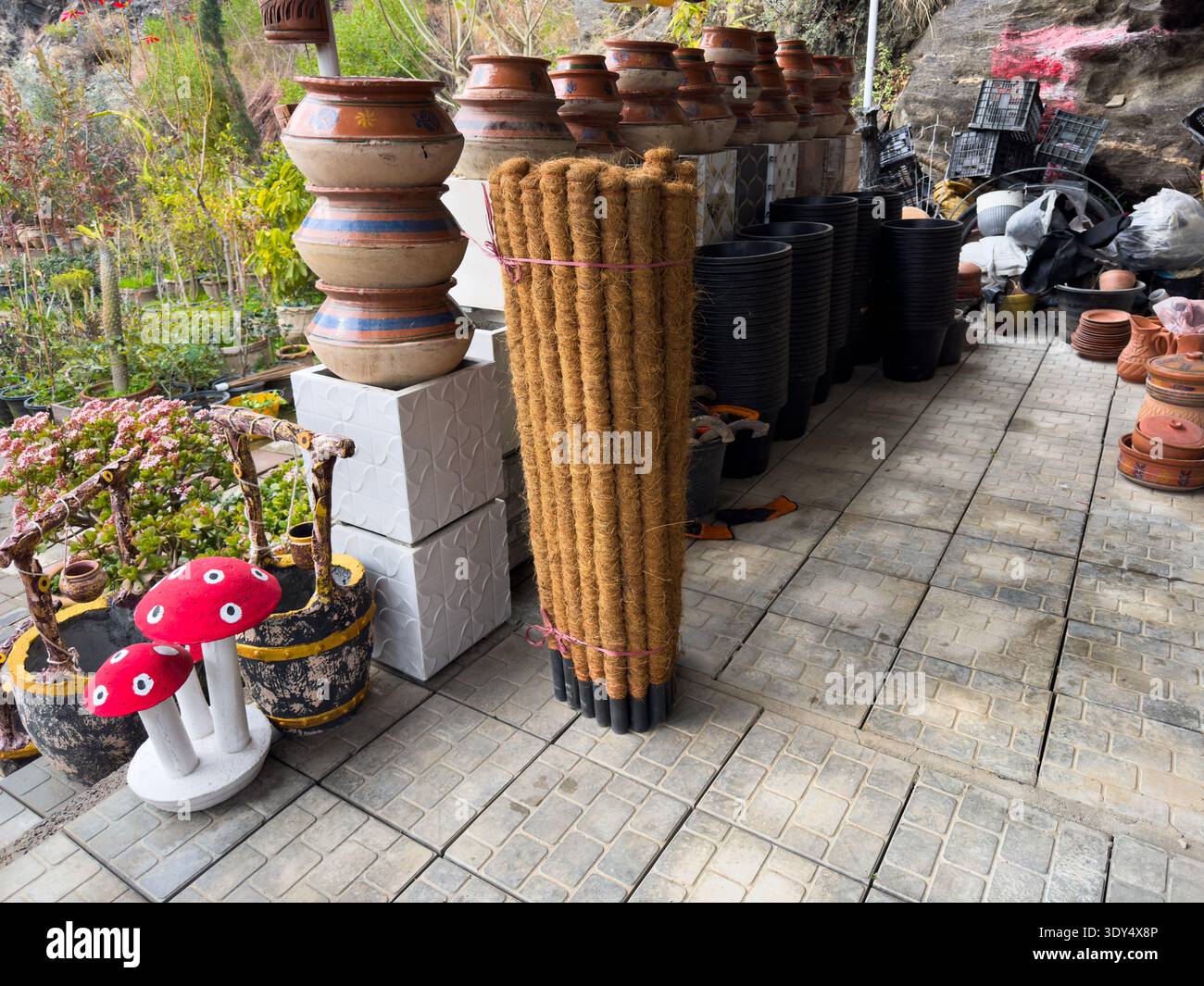 Kokosmoosstöcke und Gartentöpfe im Outdoor-Kindergarten-Shop Stockfoto