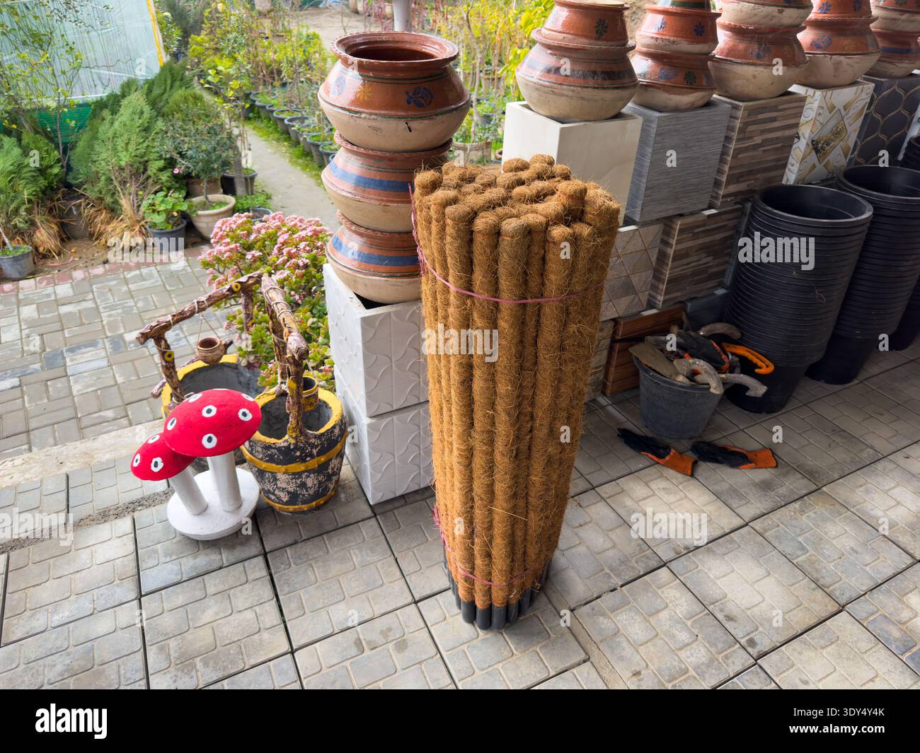 Garden Center Ausstellung von Kokosmoosstöcken und Topfpflanzen Stockfoto