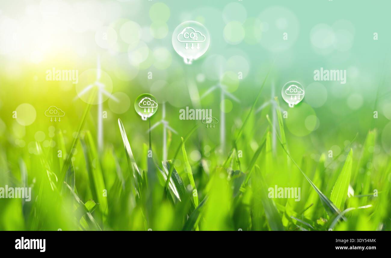 Entwicklung nachhaltiger CO2-Konzepte und Unternehmen für erneuerbare Energien Stockfoto