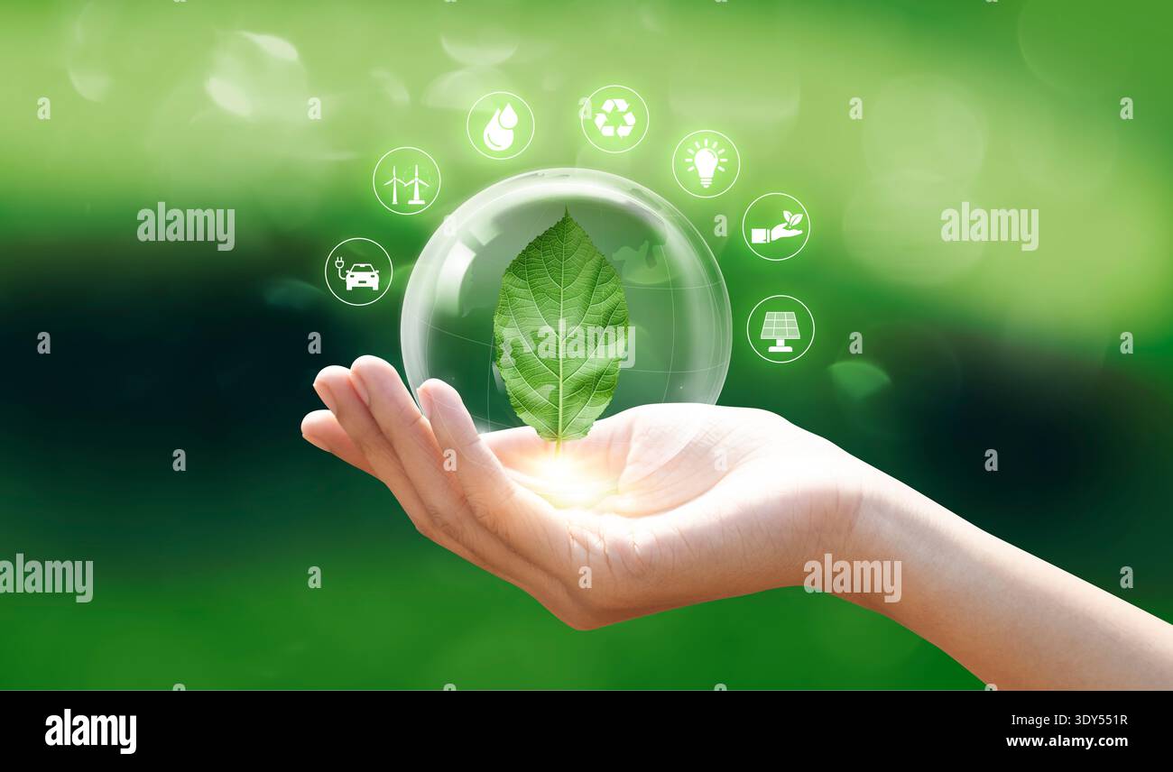 Hand mit grünem Blatt mit dem Symbol für die Pflanzenumgebung, Save World, nachhaltiges Umweltkonzept. Stockfoto