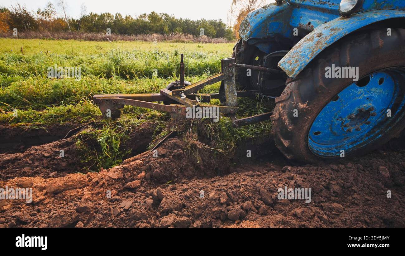 Blauer Traktor pflügt das Feld im Herbst und erzeugt Furchen im Boden Stockfoto