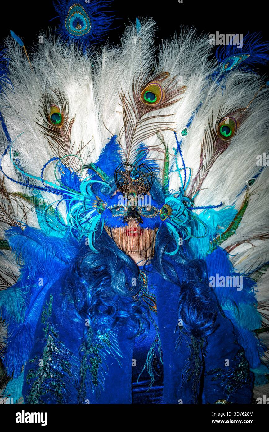 Blaue Pfauenmaske während des Karnevals von Venedig Stockfoto