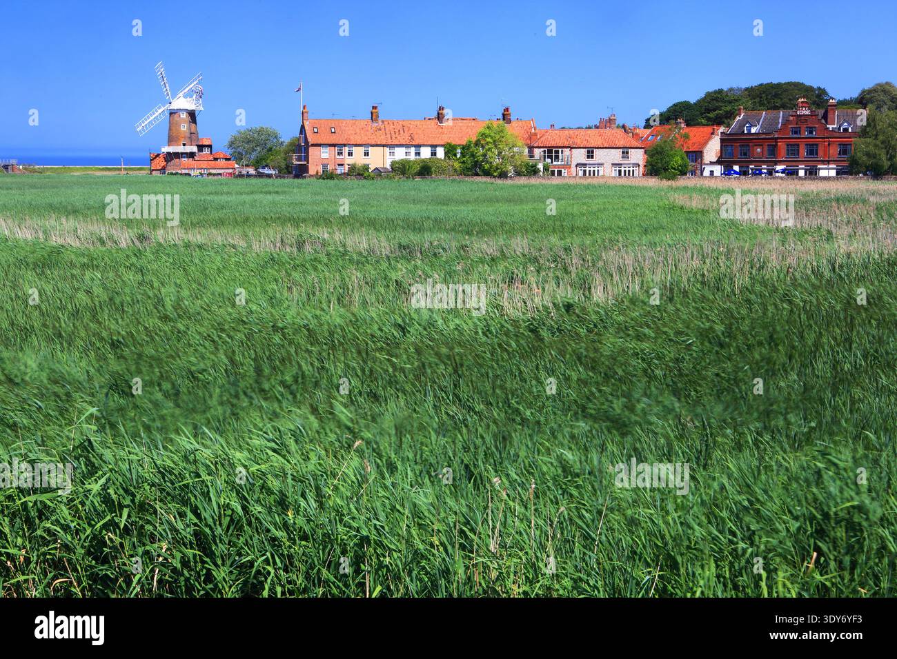 Windmühle steht an klaren Tagen in der Nähe von Häusern und grünen Feldern in Cley-next-the-Sea, Norfolk, England Stockfoto