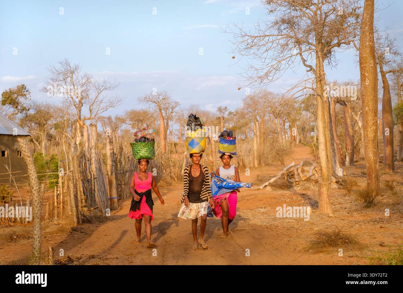 Madagassische Frauen laufen tagsüber in Tulear, Madagaskar, an Baobab-Bäumen mit Körben in einem botanischen Garten vorbei Stockfoto