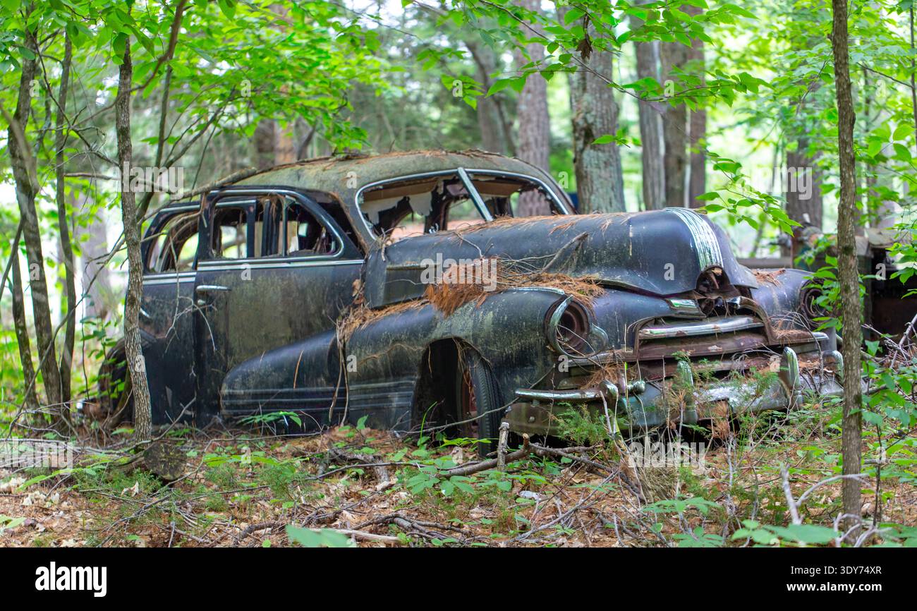 Überreste eines Pontiac Torpedo Silver Streak-Autos aus dem Jahr 1947 auf Francis Island in der Georgian Bay, Ontario, Kanada Stockfoto