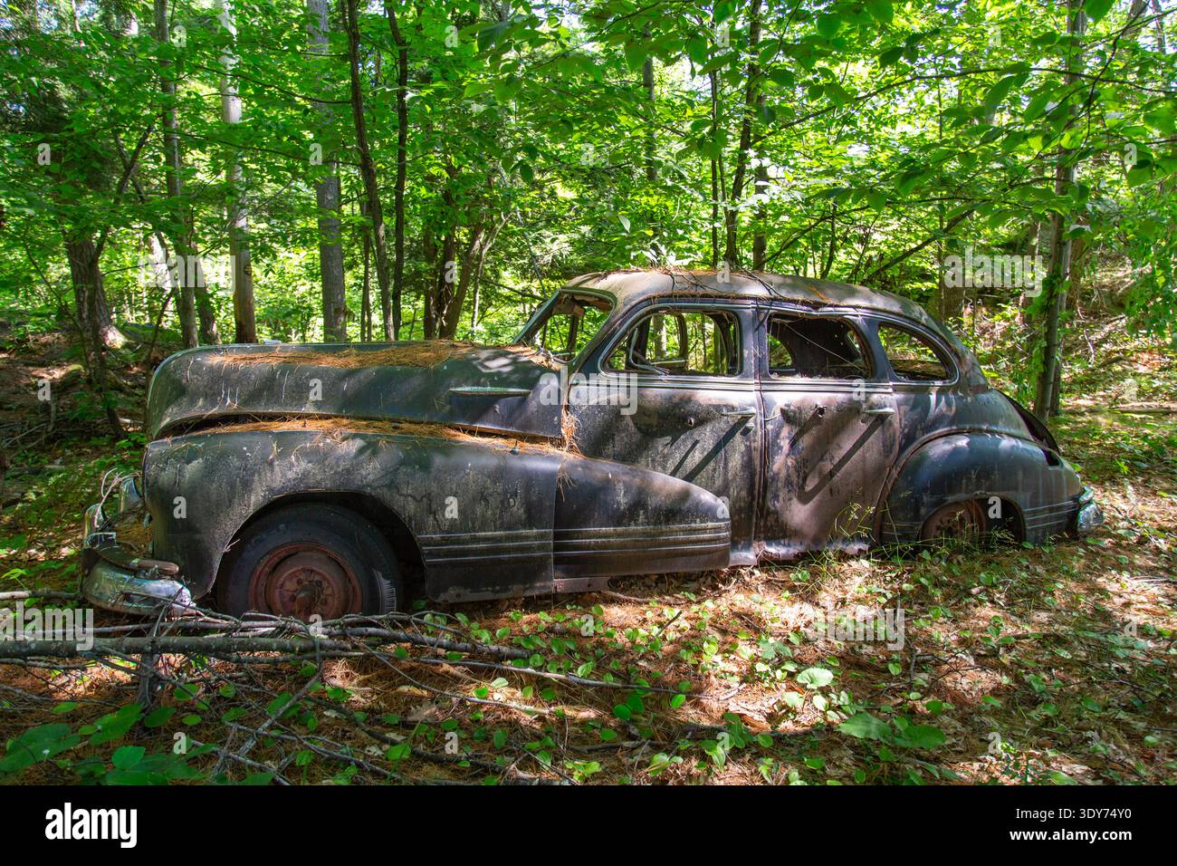 Überreste eines Pontiac Torpedo Silver Streak aus dem Jahr 1947 auf einer Insel in der Georgian Bay Ontario Stockfoto