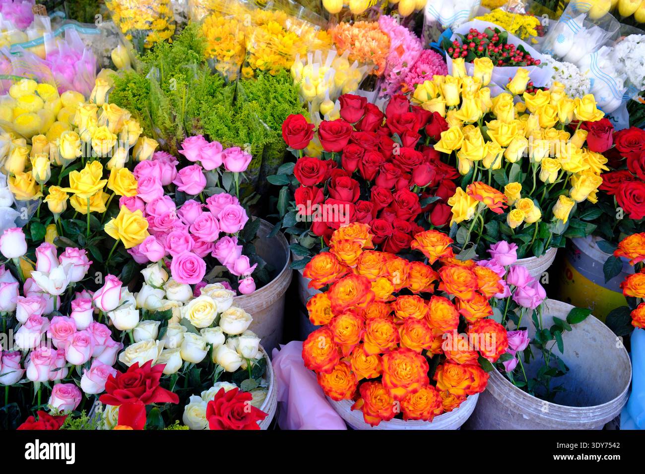 Farbenfrohe Blumen können in einem Blumenladen in Kontum, Vietnam, erworben werden, mit vielen Arten Stockfoto