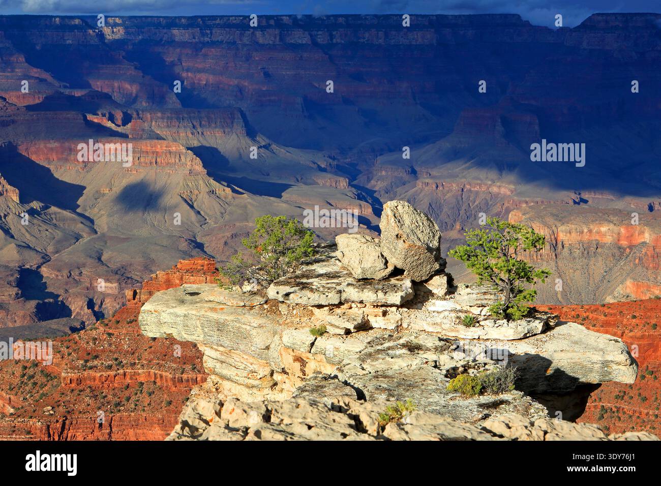 Blick auf die weitläufigen Felsformationen und das Grün des Grand Canyon während des Tages in Arizona Stockfoto