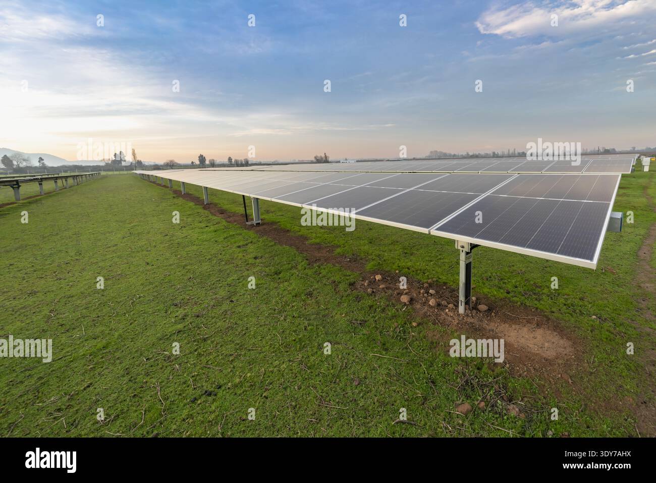 Reihen von Photovoltaik-Solarpaneelen auf Grünland, die Sonnenlicht am frühen Morgen mit weichen Wolken und weit entfernten Hügeln einfangen. Stockfoto