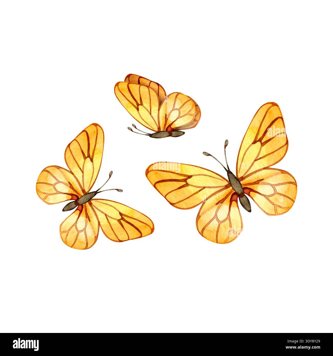 Handgemalte Aquarellillustration von drei goldgelben Schmetterlingen. Diese eleganten Insekten mit detaillierten Venenmustern an den Flügeln sind ideal Stockfoto