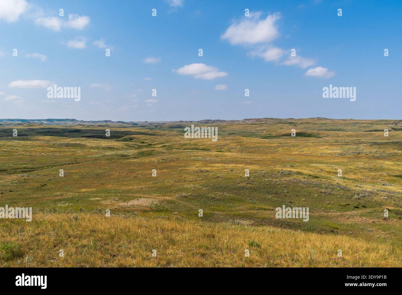 Die weitläufige Prärie öffnet sich in die zerklüfteten Badlands des Grasslands National Park unter hellem, sonnigem Himmel. Stockfoto