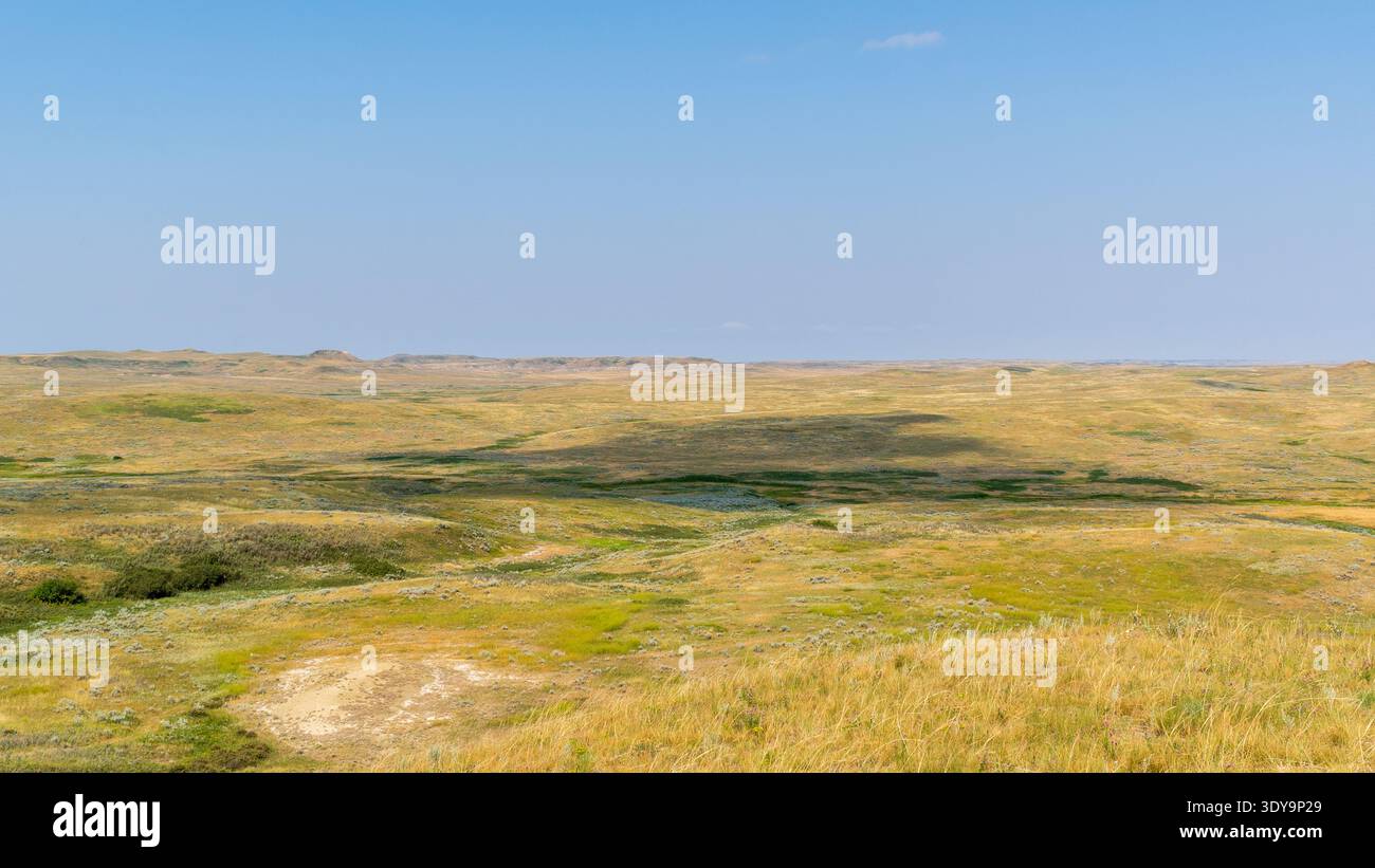 Im Grasslands-Nationalpark erheben sich mehrschichtige Badlands aus der offenen Prärie, deren Farben sich mit den Gräsern unter einem klaren blauen Himmel vermischen. Stockfoto
