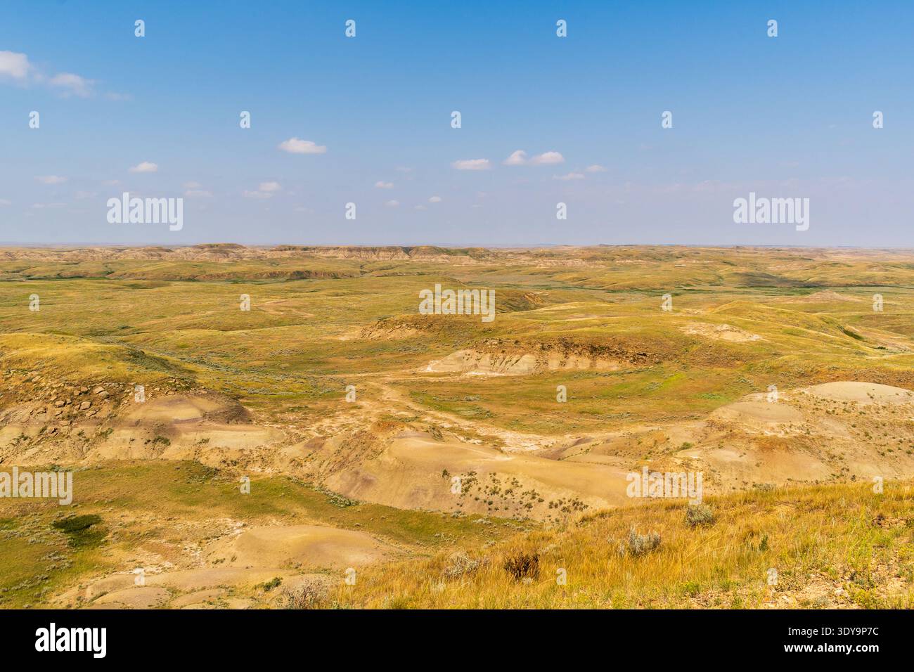 Buttes und freiliegende Erdschichten schaffen eine dramatische Landschaft, geätzt von Erosion und eingerahmt von hellblauem Himmel. Stockfoto