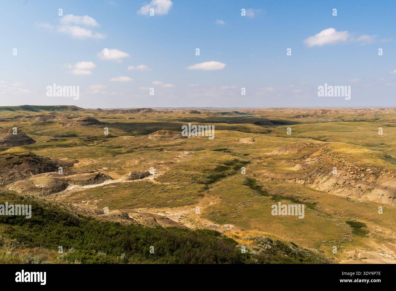Im Grasslands National Park schlängeln sich scharfe Buttes und tiefe Coulees durch die Prärie-Badland-Landschaft. Stockfoto