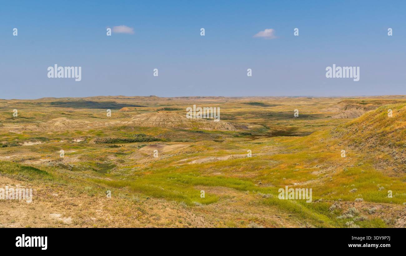 Die Prairie-Landschaft führt in geformte Badlands im Grasslands National Park, wo exponierte geologische Schichten einen auffälligen Kontrast bilden. Stockfoto