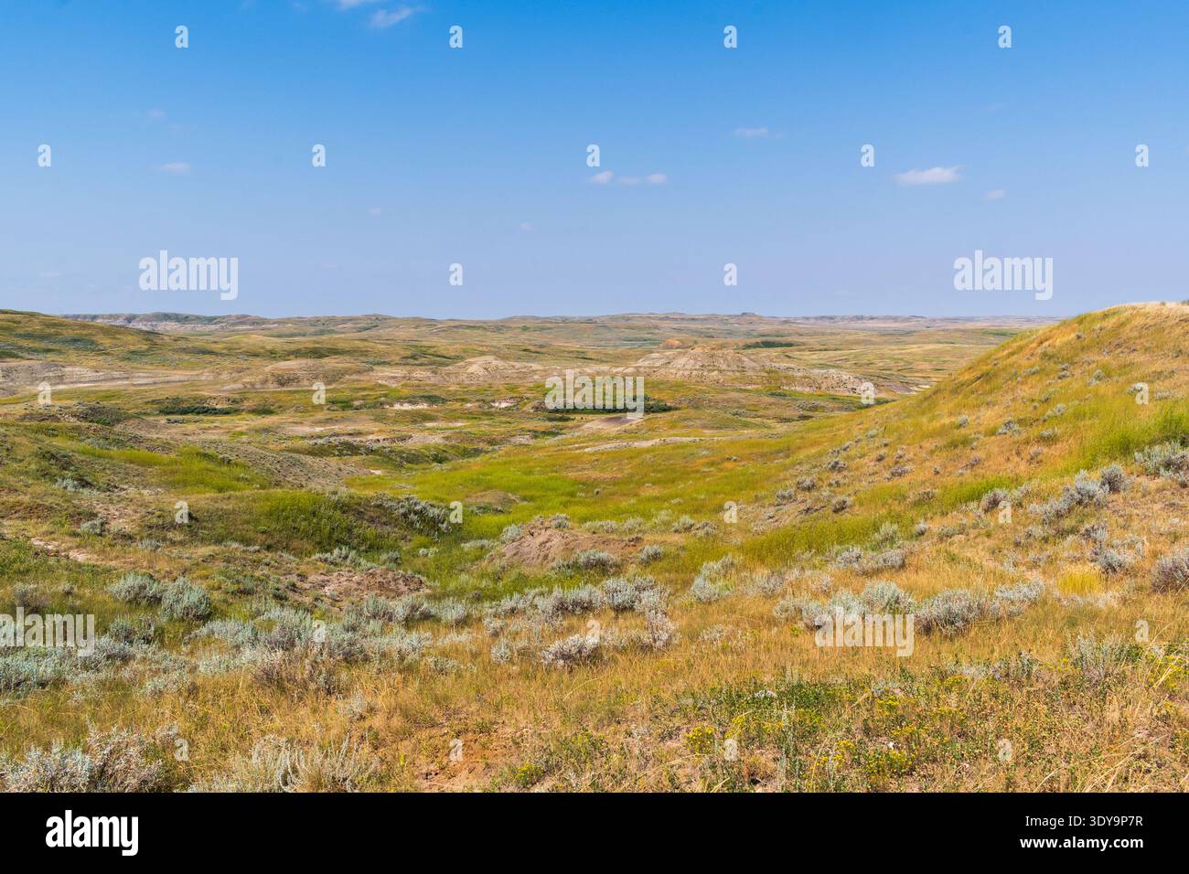 Unterschiedliche geologische Schichten Formen Badlands, wenn sie aus der umliegenden Prärie im Grasslands National Park, Saskatchewan, hervorgehen. Stockfoto
