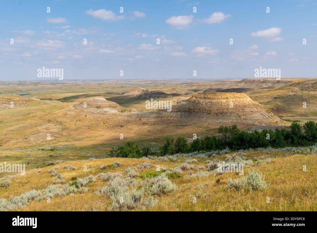 Badlands erstrecken sich über den Horizont, mit geschichteten Sedimenten und zerklüfteten Konturen, die durch den hellen Präriehimmel im Grasslands National Park hervorgehoben werden. Stockfoto