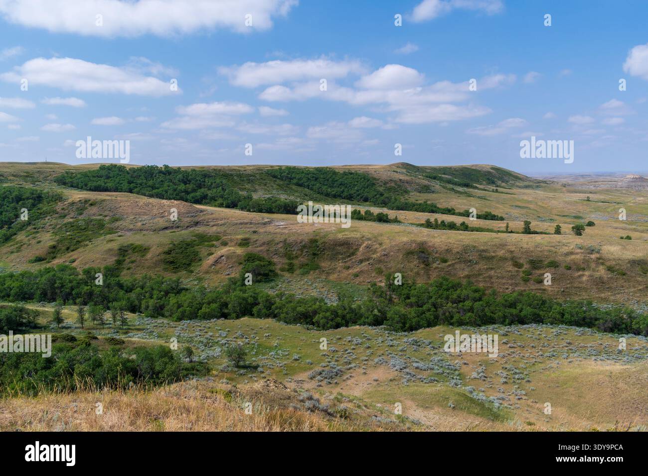 Das Grün füllt die Falten der geschwungenen Hügel im Grassland National Park's East Block Badlands und verleiht der Landschaft Leben und Farbe. Stockfoto