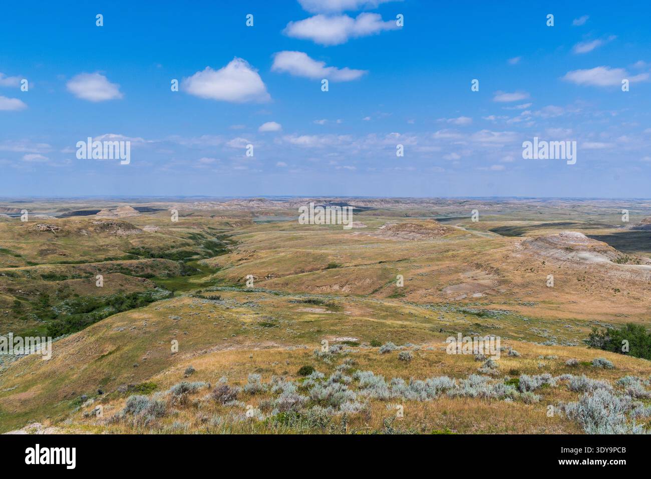 Die Badlands des Grasslands National Park erstrahlen in natürlicher Farbe, wo erodierte Buttes Sedimentbänder zeigen, die von Jahrhunderten Wind und Wasser geformt wurden. Stockfoto